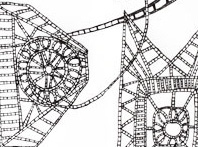 PELLICULE